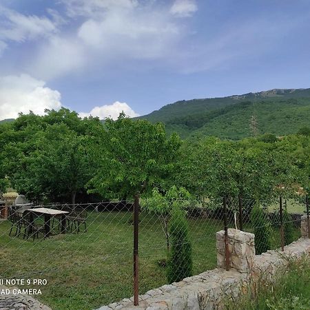 Aleks Villa Ohrid Bagian luar foto