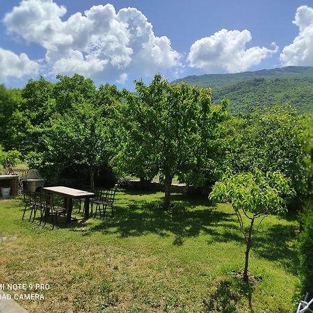 Aleks Villa Ohrid Bagian luar foto