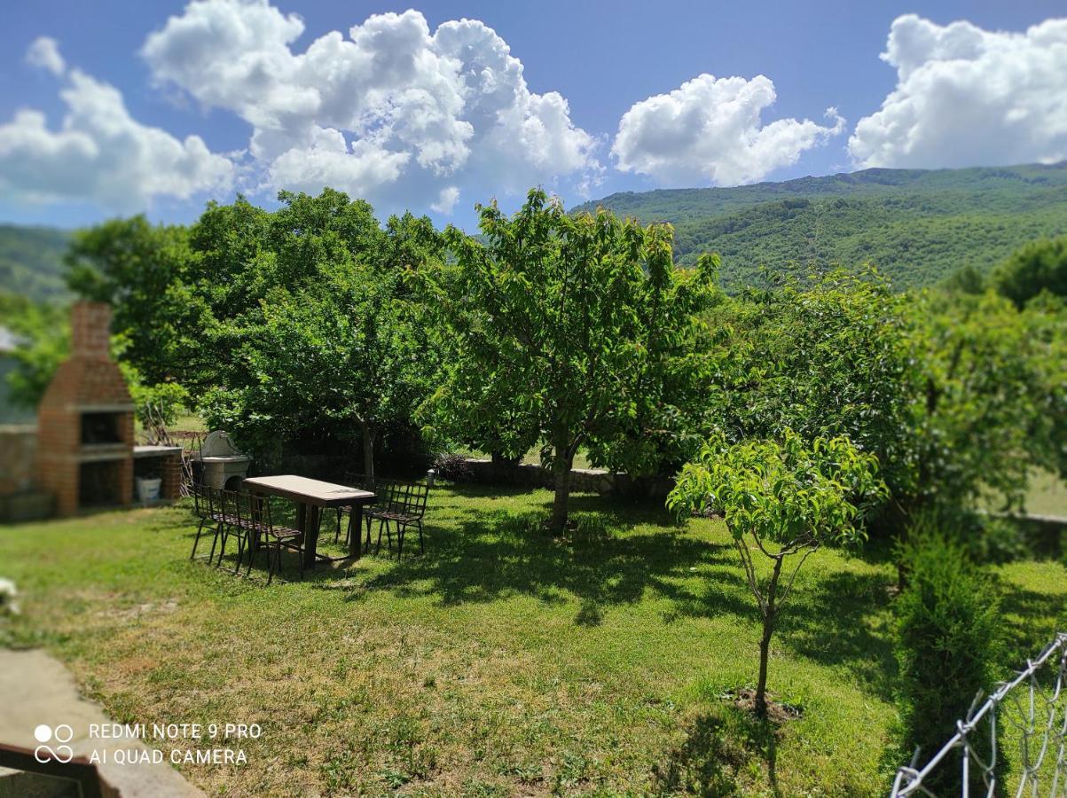 Aleks Villa Ohrid Bagian luar foto