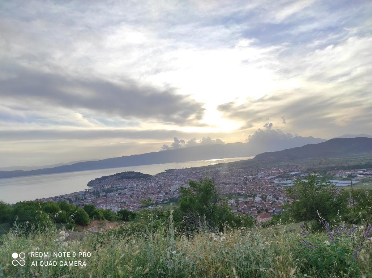 Aleks Villa Ohrid Bagian luar foto